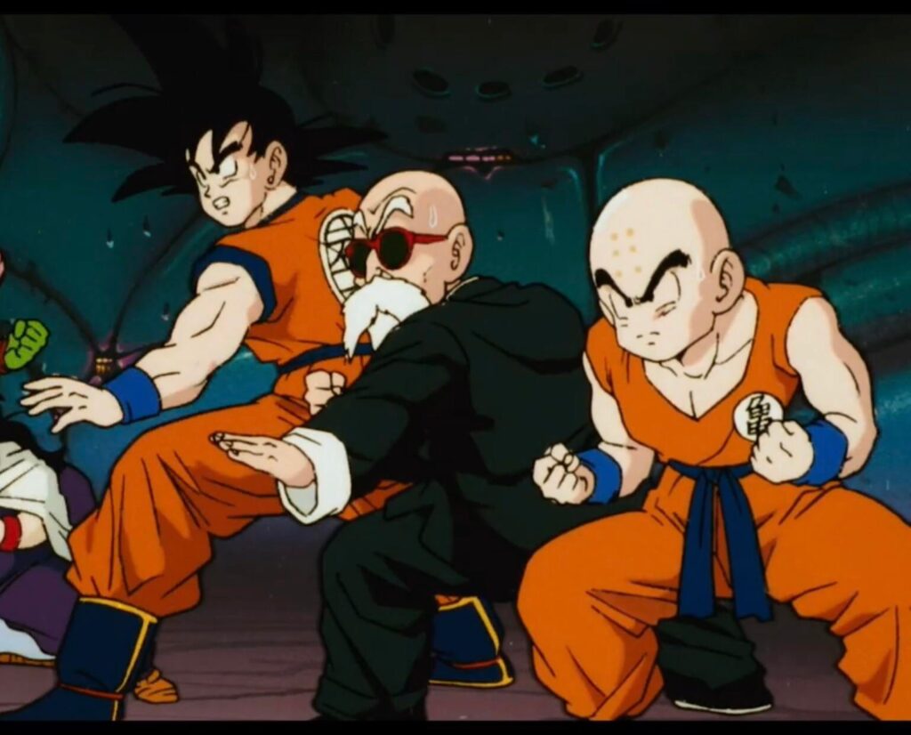 maitre tortue geniale krillin goku entrainement