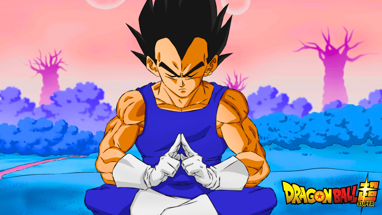 vegeta meditation dragon ball super