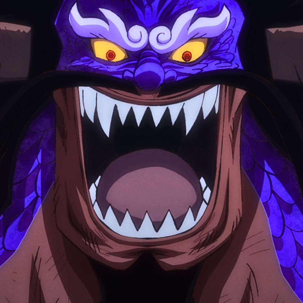 kaido one piece