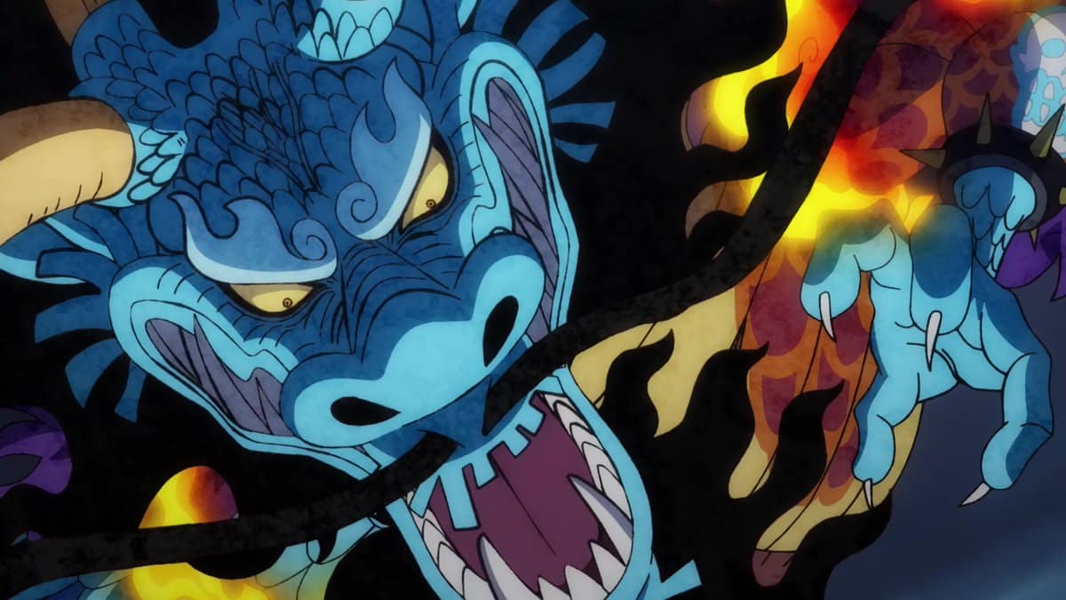 kaido one piece