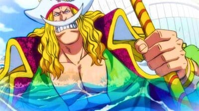 barbe blanche one piece