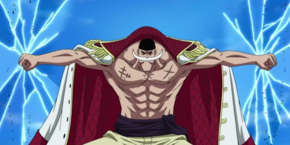 barbe blanche one piece