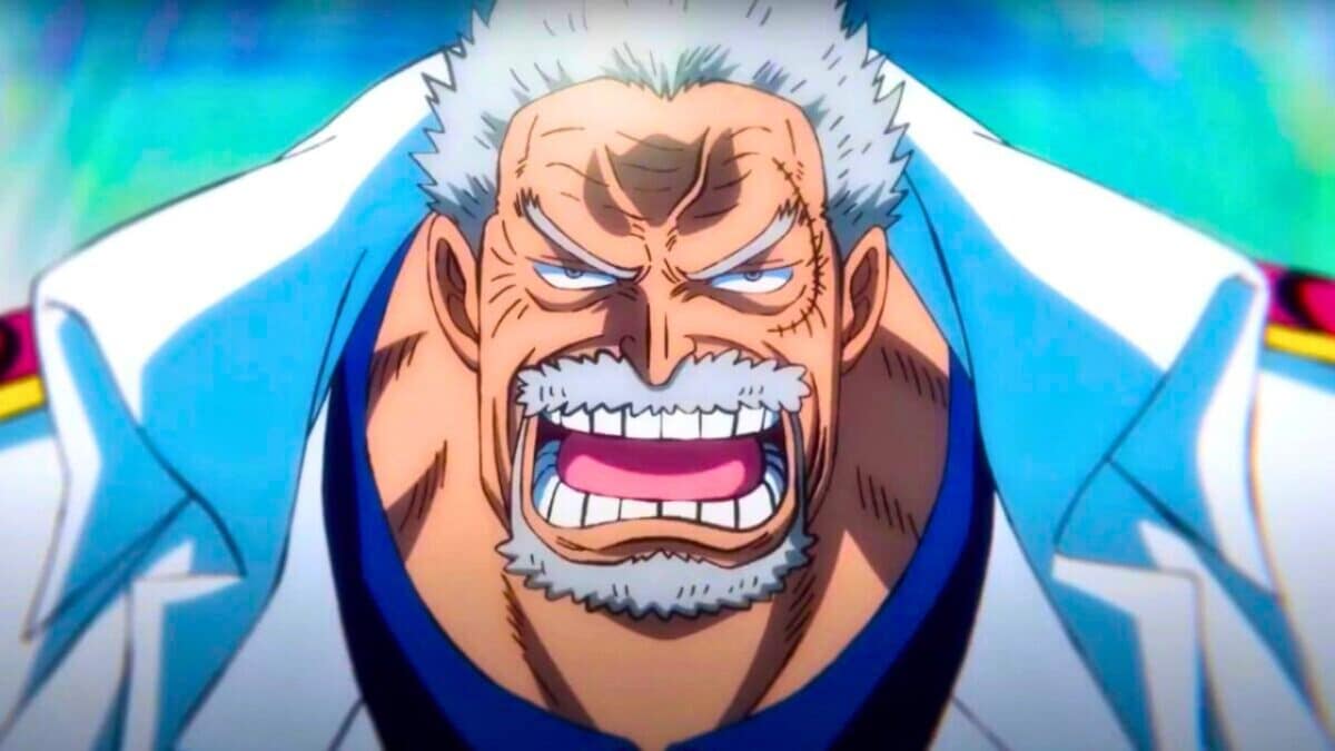 garp one piece enerve