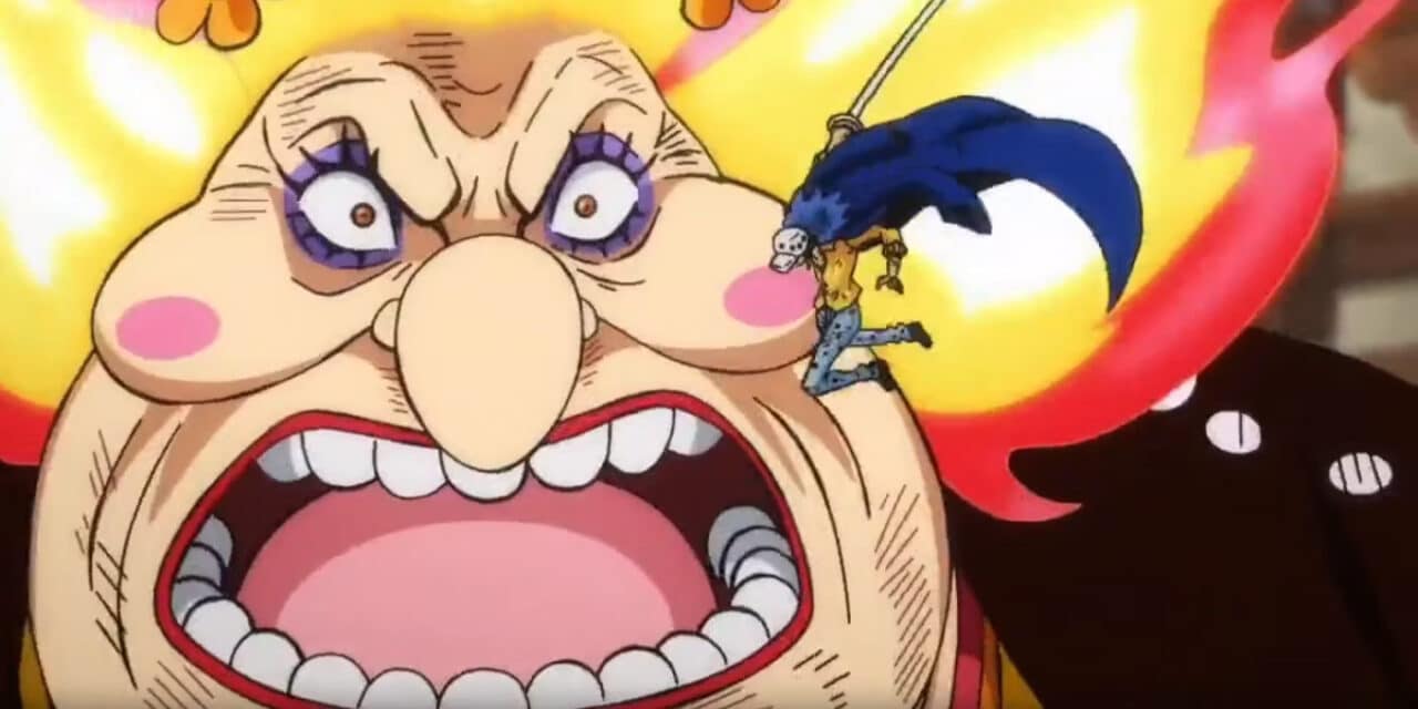 one piece law