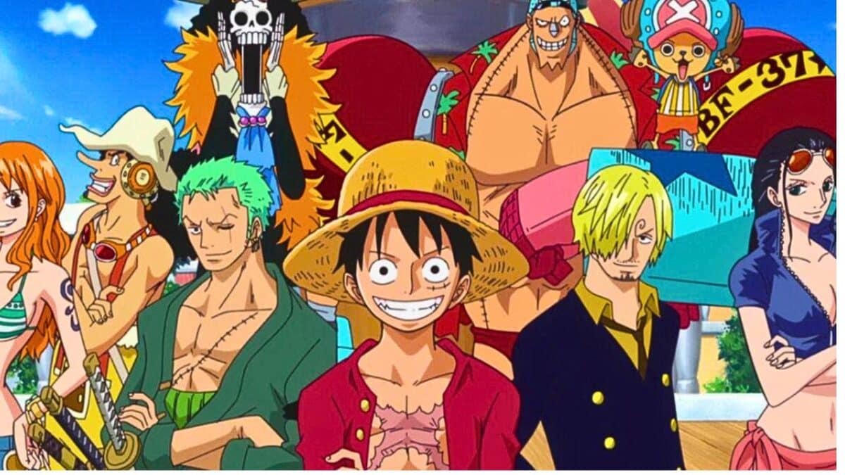 one piece luffy equipage pirates