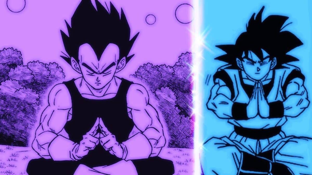 vegeta et goku meditation