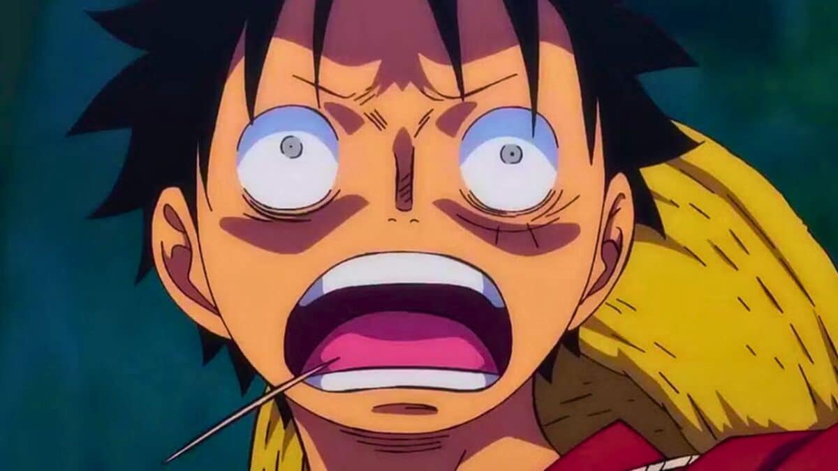 luffy visagez choque