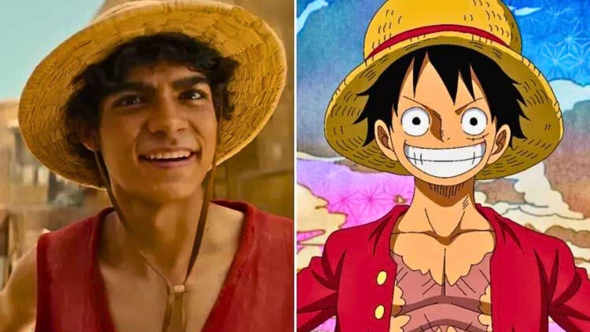 one piece luffy inaki et anime