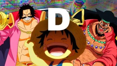 one piece luffy roger barbe noire signification D