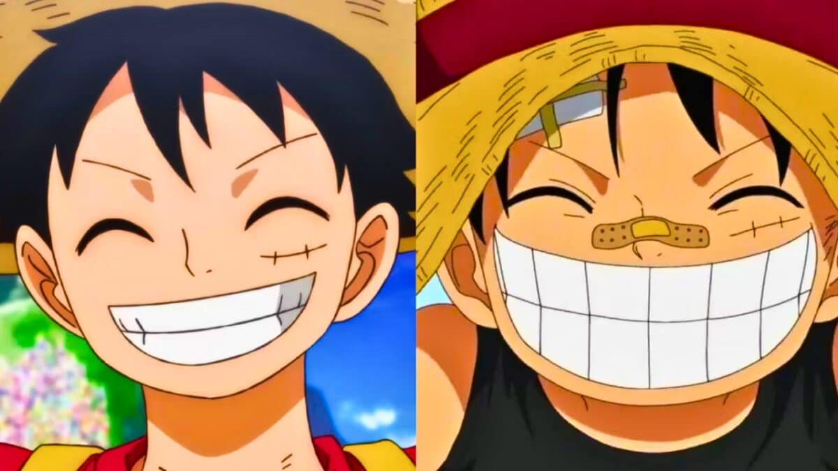 luffy protagoniste dans one piece