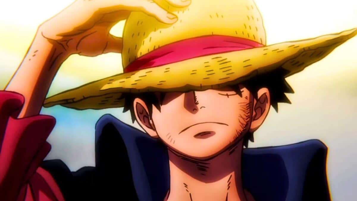 one piece luffy pirate roi