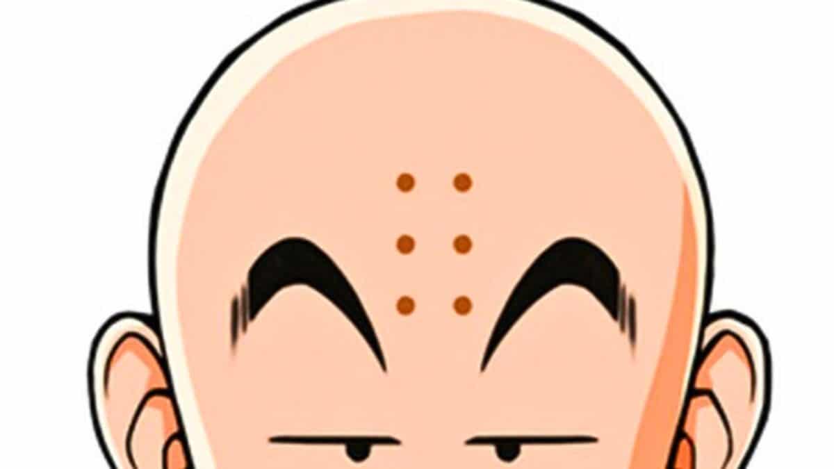 tete de krillin marque