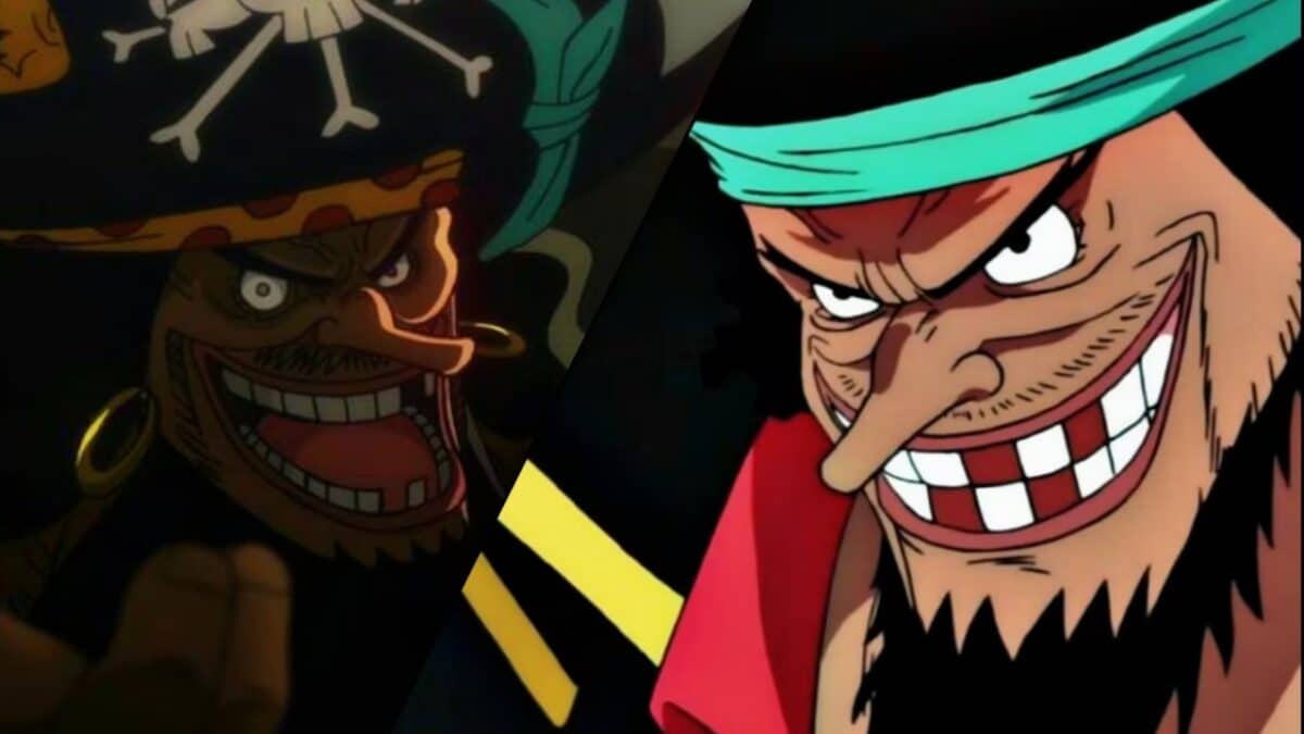 one piece barbe noire